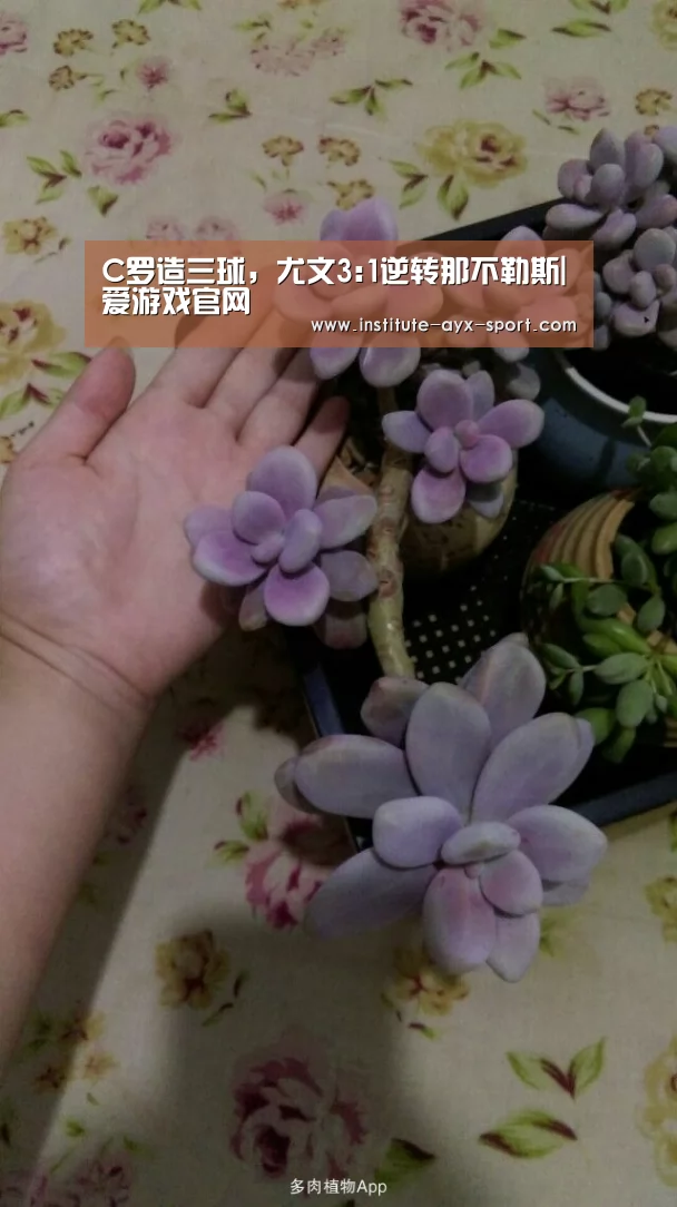 爱游戏首页